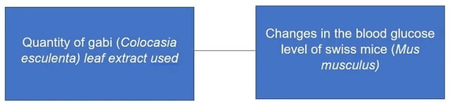 Conceptual Framework Sample 1
